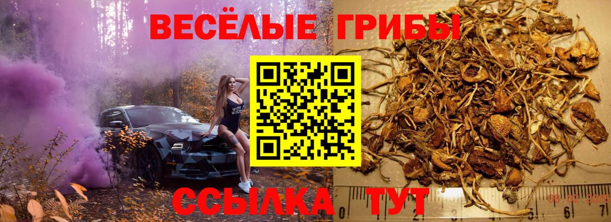 Псилоцибиновые грибы ЛСД  Вход с VPN  Крымск 